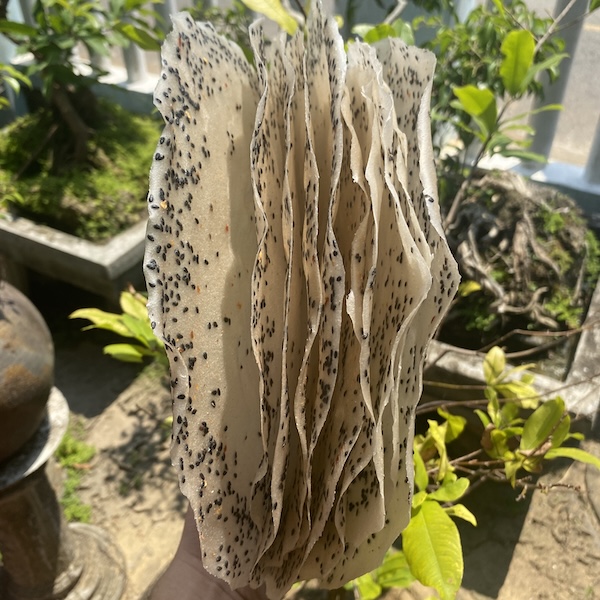 bánh tráng nướng gạo mè đen