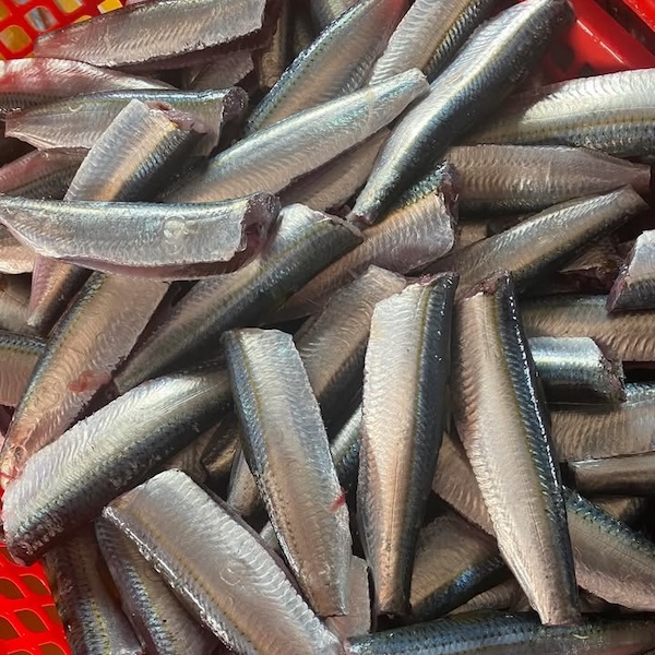 cá trích làm sạch