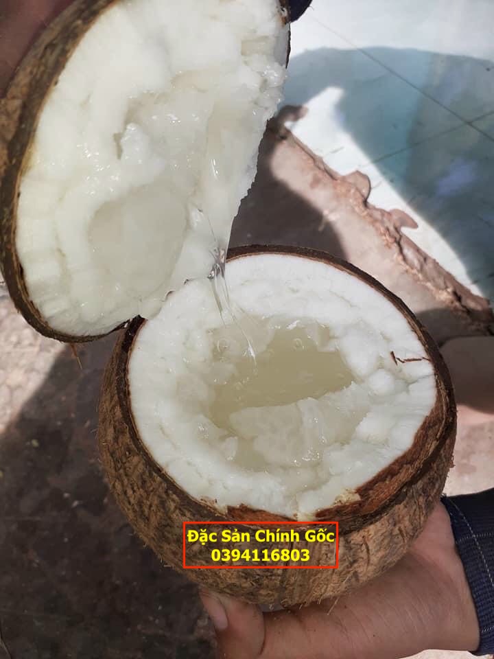 Dừa sáp Cầu Kè