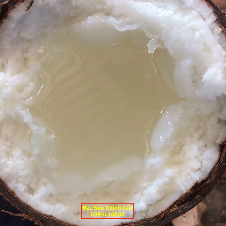 Dừa sáp Cầu Kè